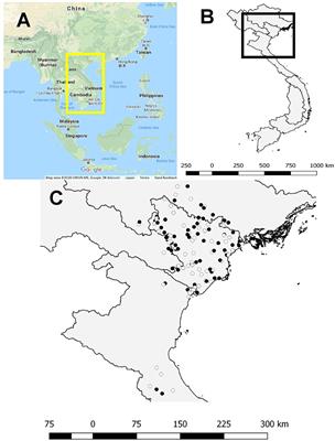 Evaluating the Risk Factors for Porcine Epidemic Diarrhea Virus Infection in an <mark class="highlighted">Endemic Area</mark> of Vietnam